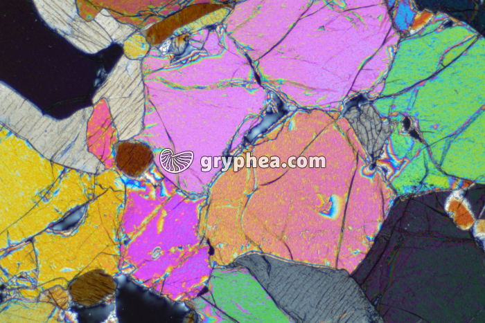 Péridotite LPA x10 - gryphea.com